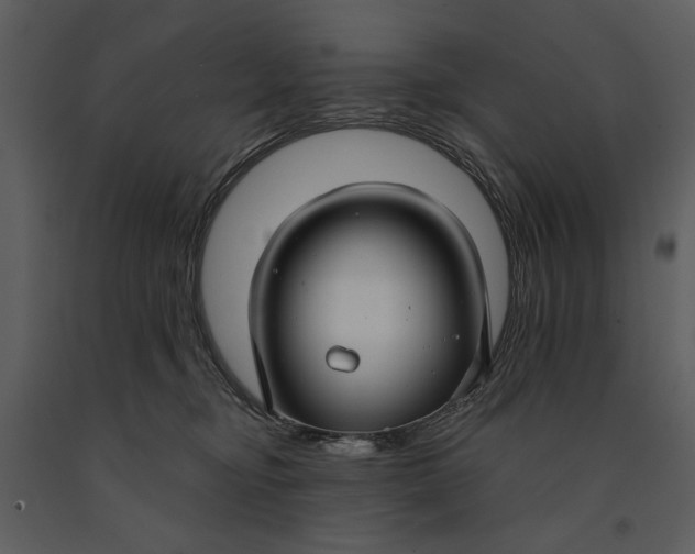X0000090950374200708241135