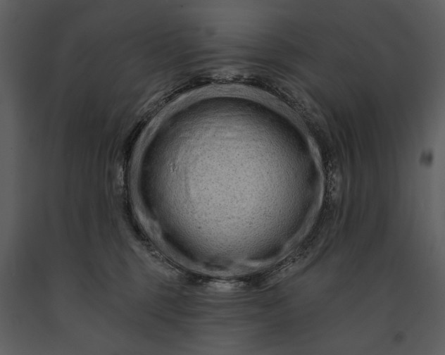 X0000090950375200708241135