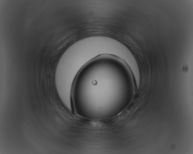 X0000090950376200708241135