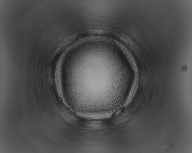 X0000090950377200708241135