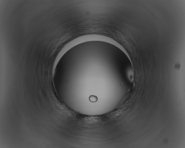 X0000090950378200708241135