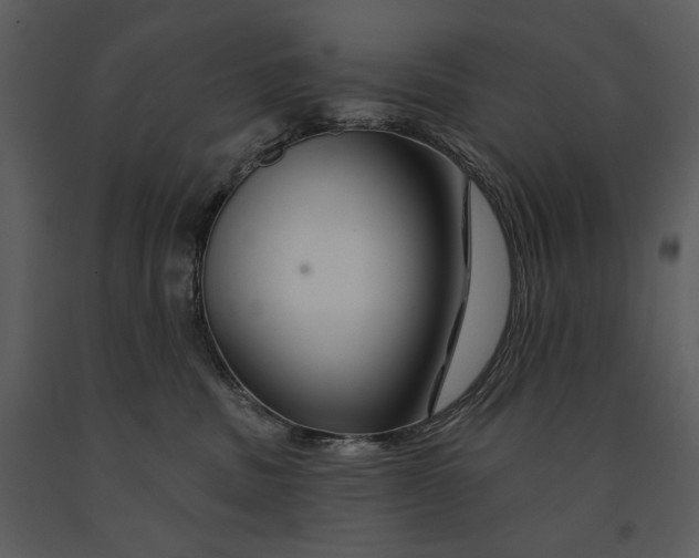 X0000090950379200708241135