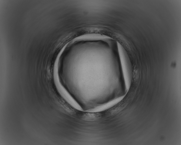 X0000090950381200708241135