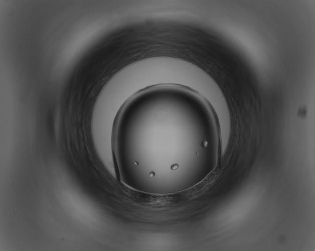 X0000090950382200708241135