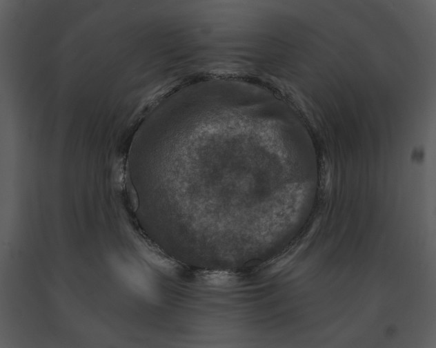 X0000090950383200708241135