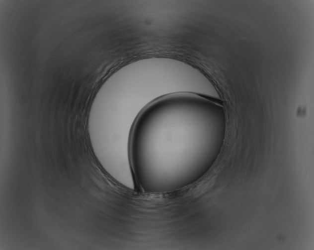 X0000090950384200708241135
