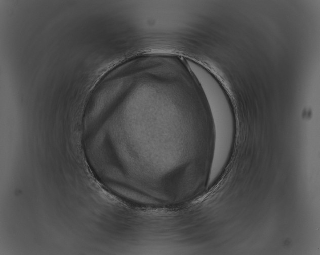X0000090950385200708241134