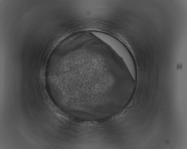 X0000090950386200708241134