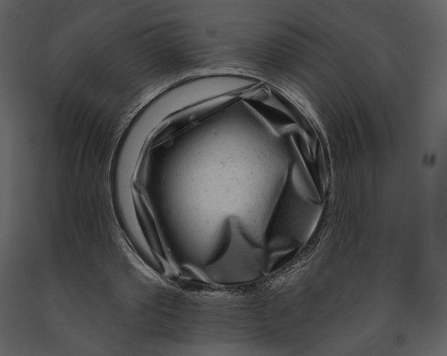 X0000090950389200708241134