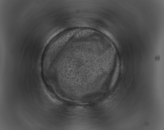 X0000090950390200708241134