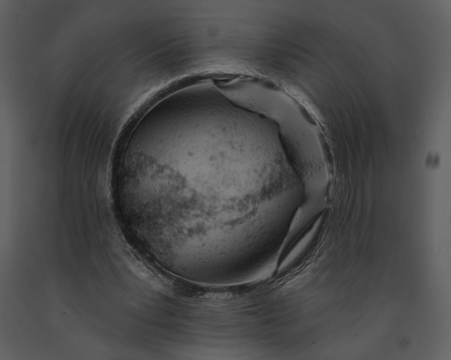 X0000090950391200708241134