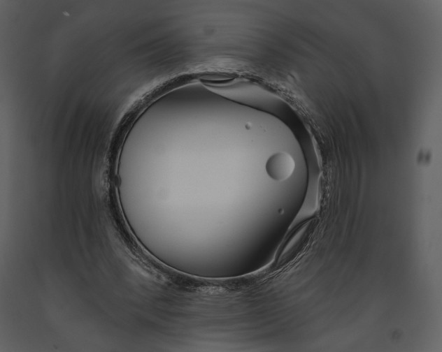 X0000090950392200708241134