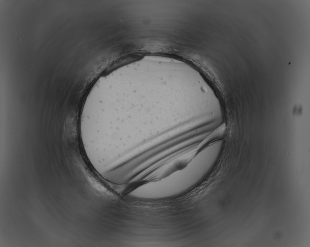 X0000090950393200708241134