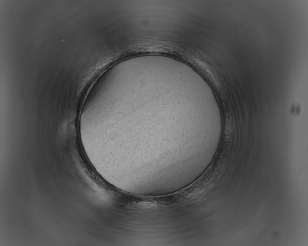X0000090950394200708241134