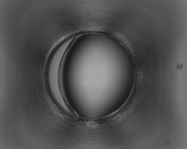 X0000090950395200708241134