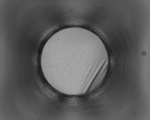 X0000090950396200708241134