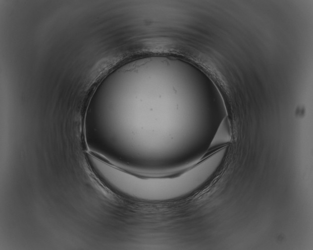 X0000090950397200708241134
