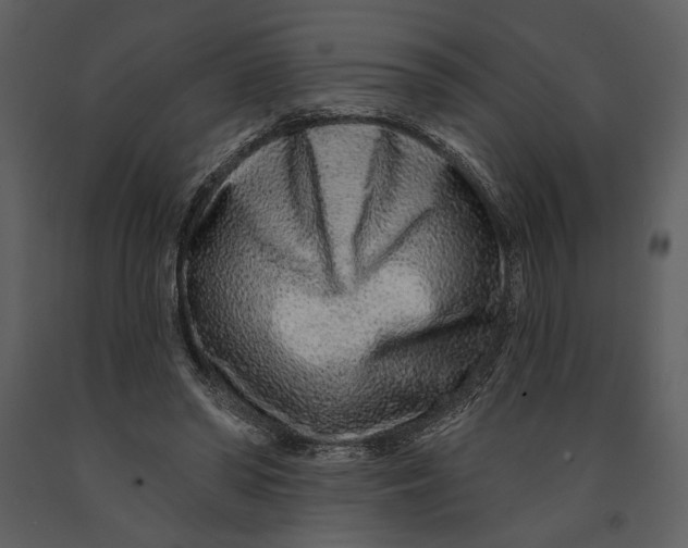 X0000090950398200708241134