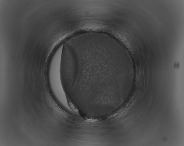 X0000090950399200708241134