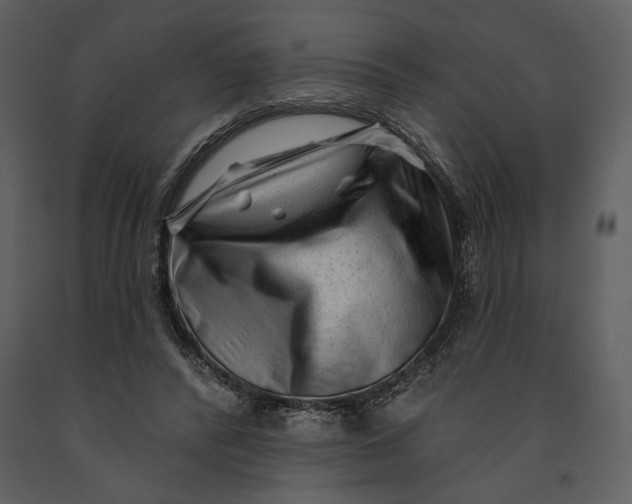 X0000090950400200708241134