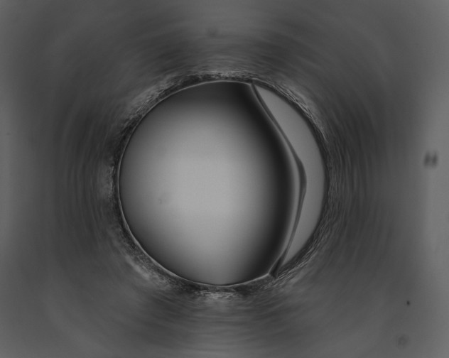 X0000090950401200708241134