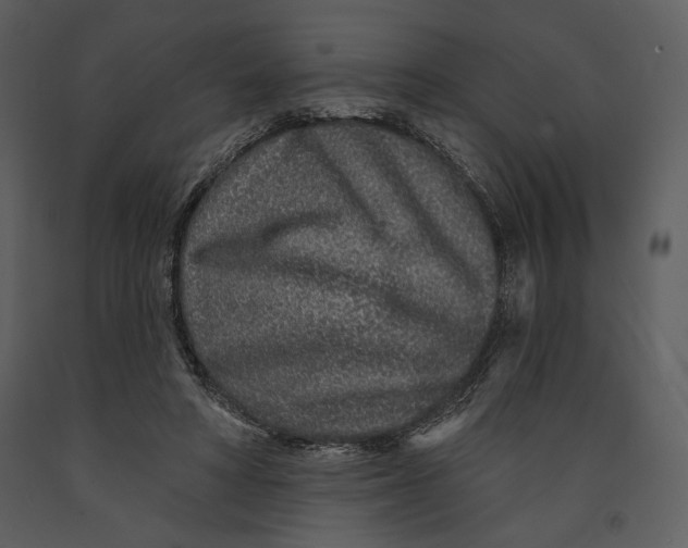 X0000090950402200708241134