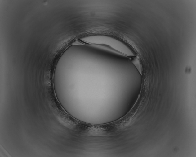 X0000090950403200708241134