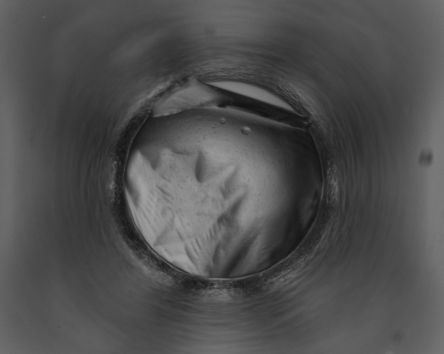 X0000090950404200708241134