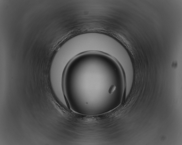 X0000090950405200708241134