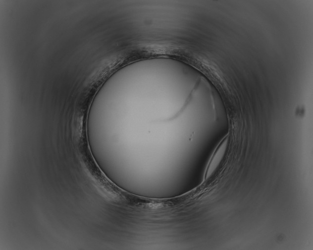 X0000090950406200708241134