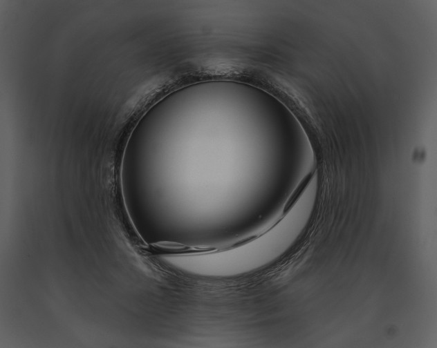 X0000090950407200708241134