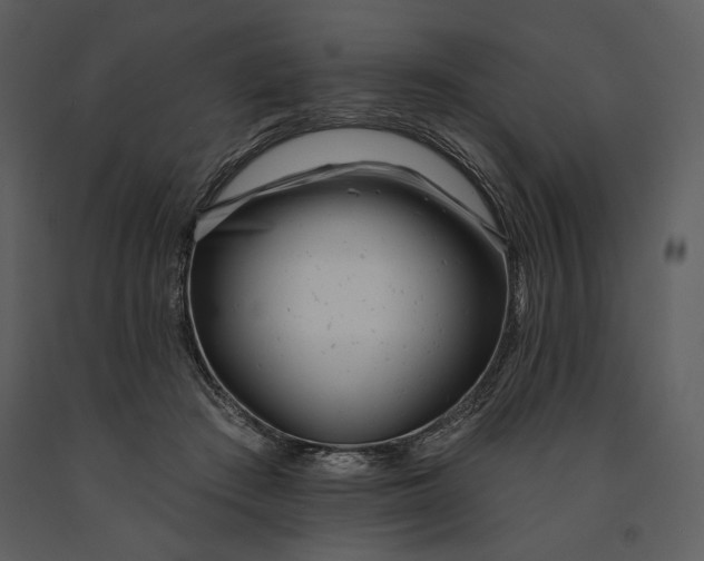 X0000090950409200708241134