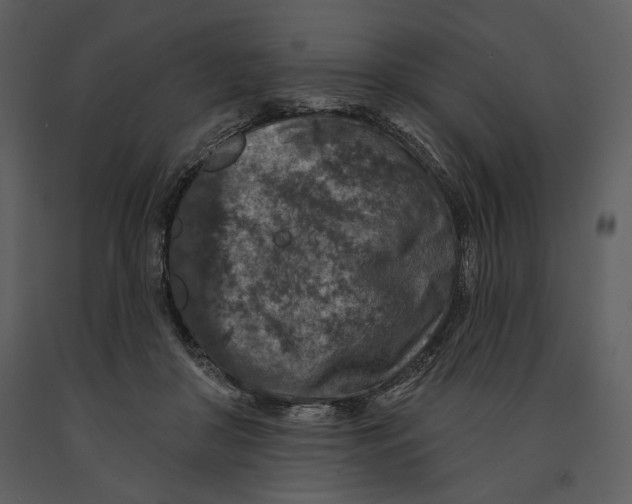 X0000090950410200708241134