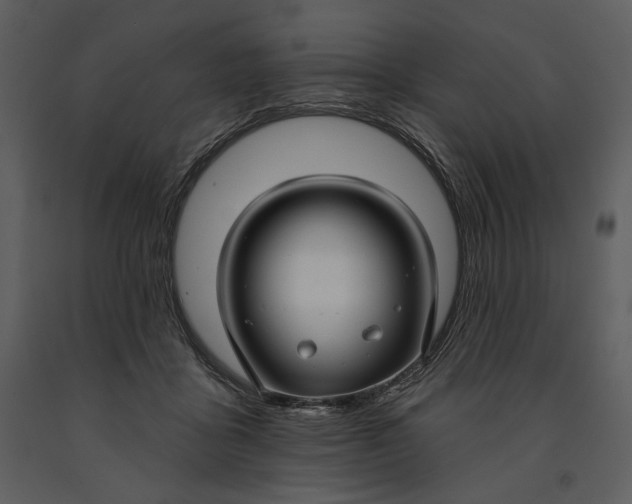 X0000090950411200708241134