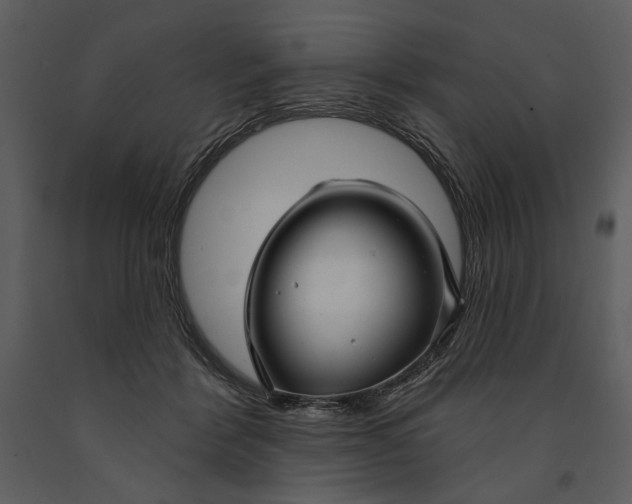 X0000090950412200708241134