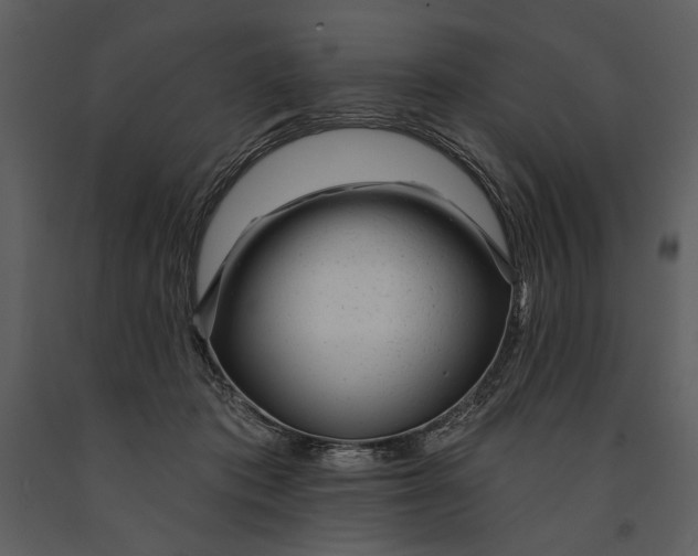 X0000090950413200708241134