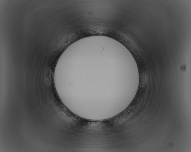 X0000090950414200708241134