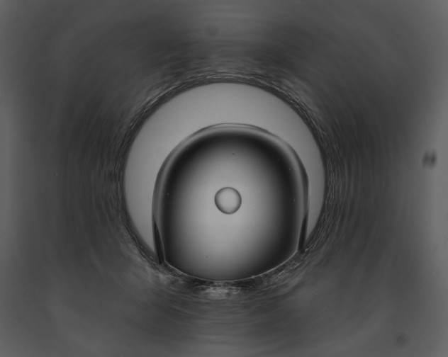 X0000090950415200708241134