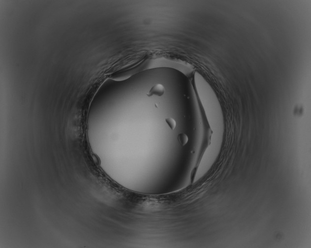 X0000090950416200708241134