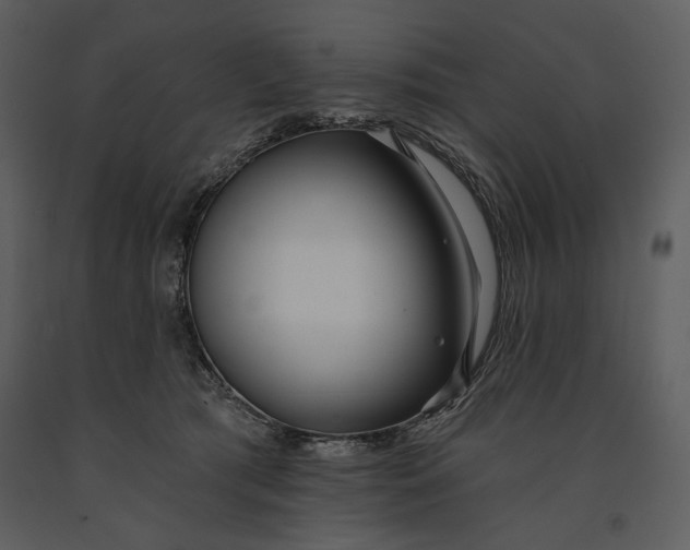 X0000090950417200708241134
