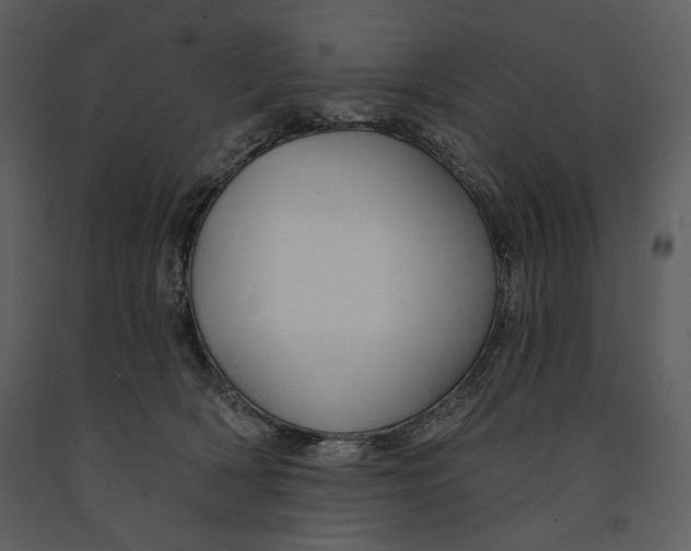 X0000090950418200708241134