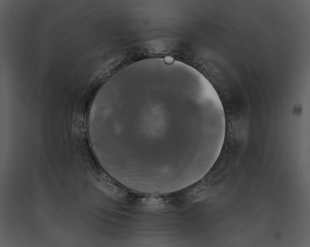 X0000090950419200708241133