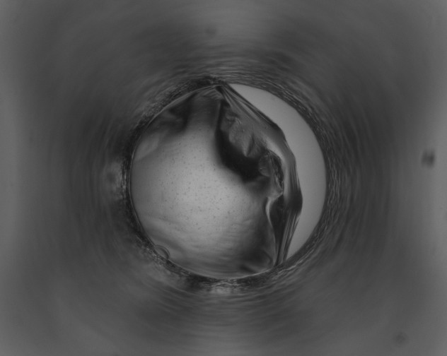 X0000090950420200708241133
