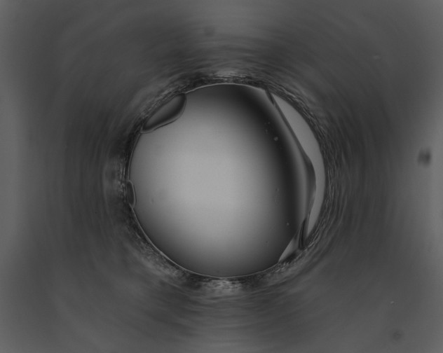 X0000090950421200708241133