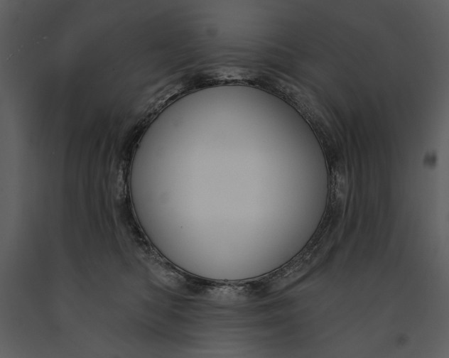 X0000090950422200708241133