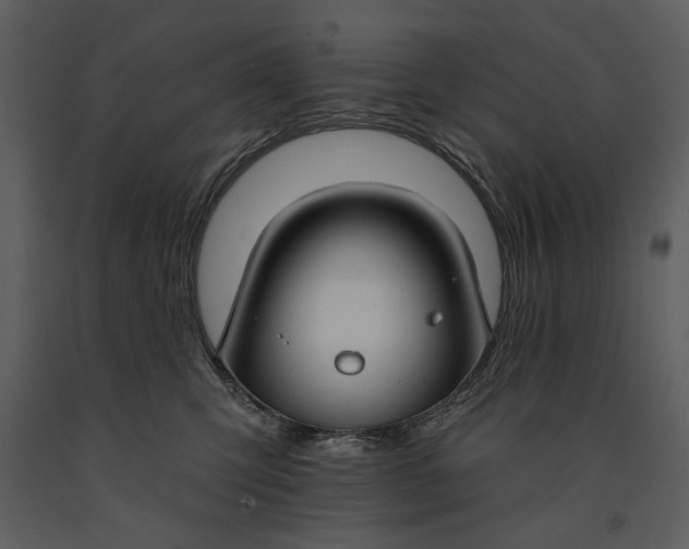 X0000090950423200708241133