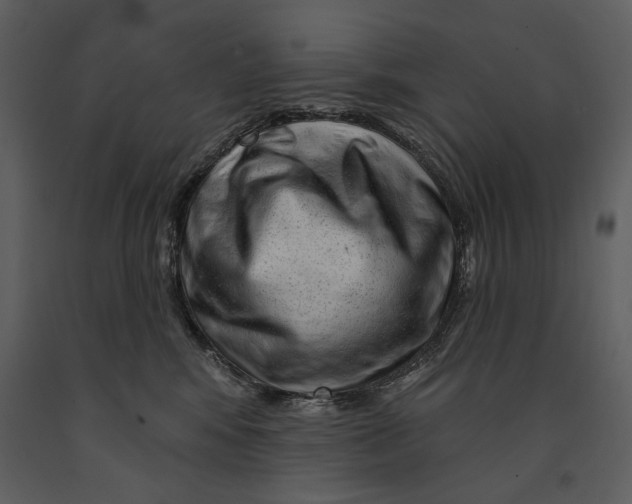 X0000090950424200708241133
