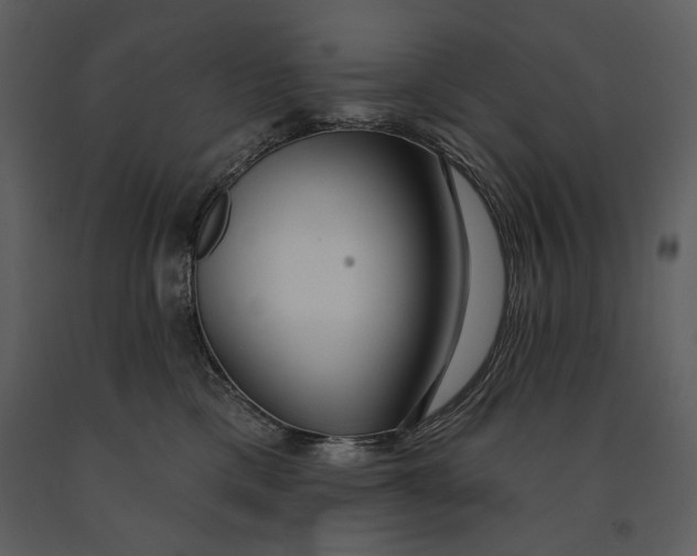 X0000090950425200708241133