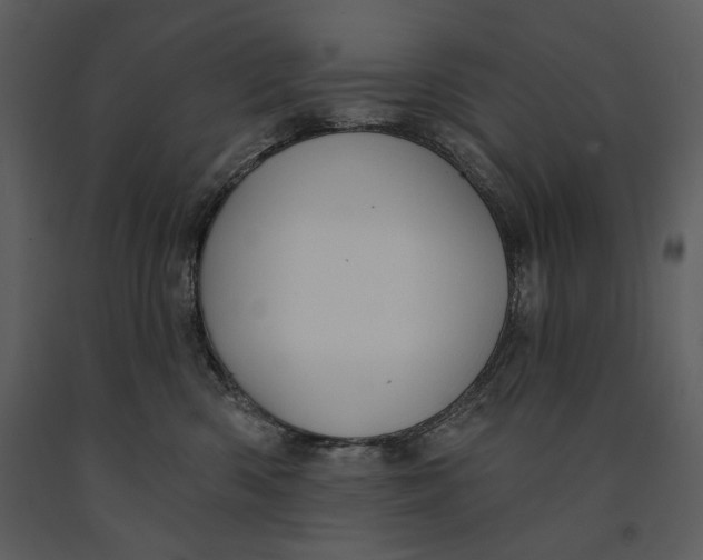 X0000090950426200708241133