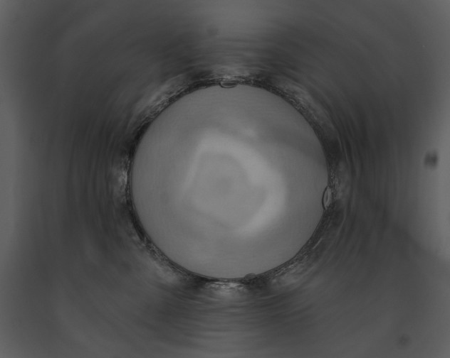 X0000090950427200708241133